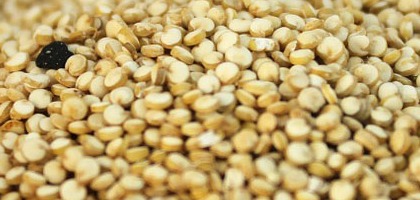 Cuáles son los cereales más ricos en calcio